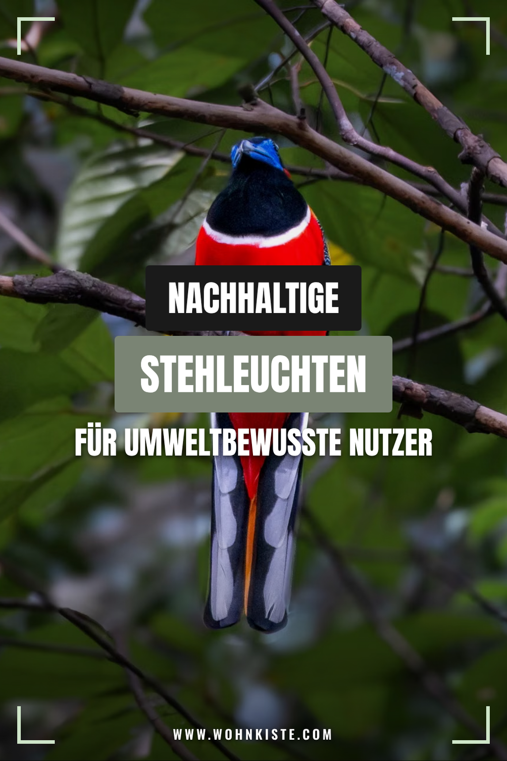 Pinterest Pin Nachhaltige Stehleuchten für umweltbewusste Nutzer
