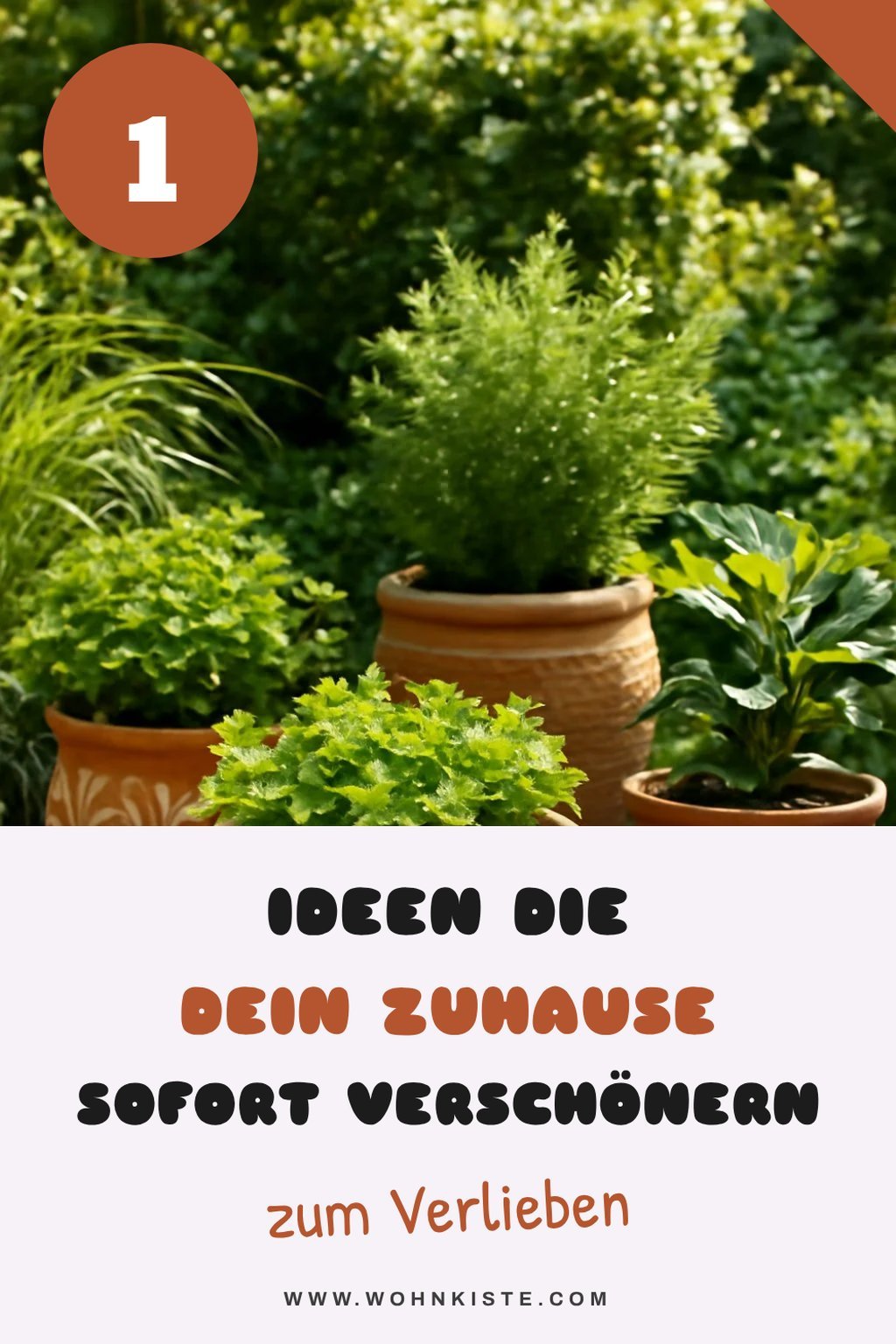 Mehr Empfehlungen aus dieser Kategorie