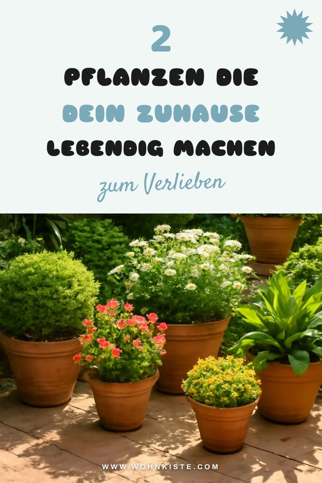So bringst du mit Pflanzen Farbe in jeden Raum