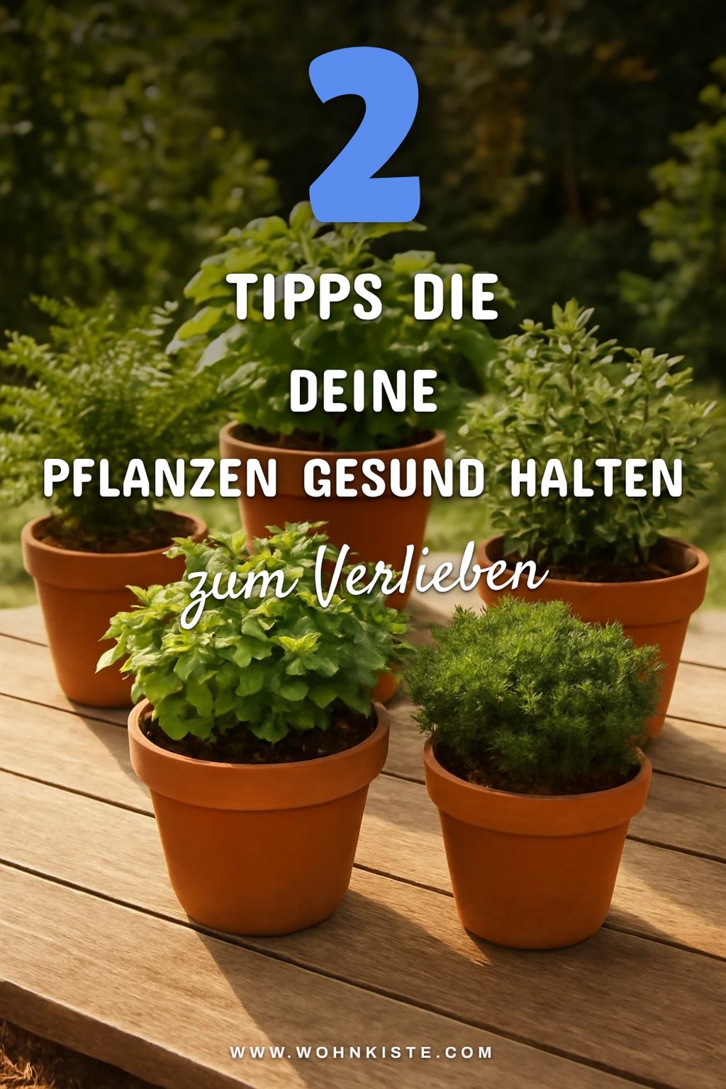 Die besten Tipps für die Pflege deiner Pflanzen in Töpfen