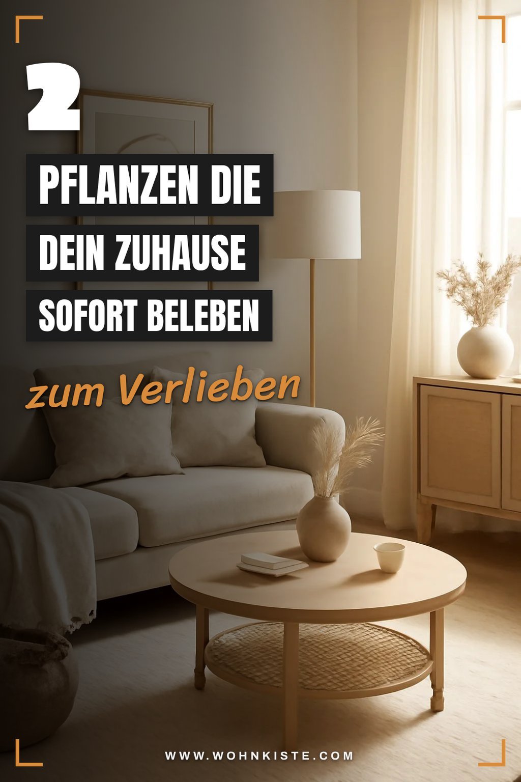 Pflanzen für frische Luft und Atmosphäre
