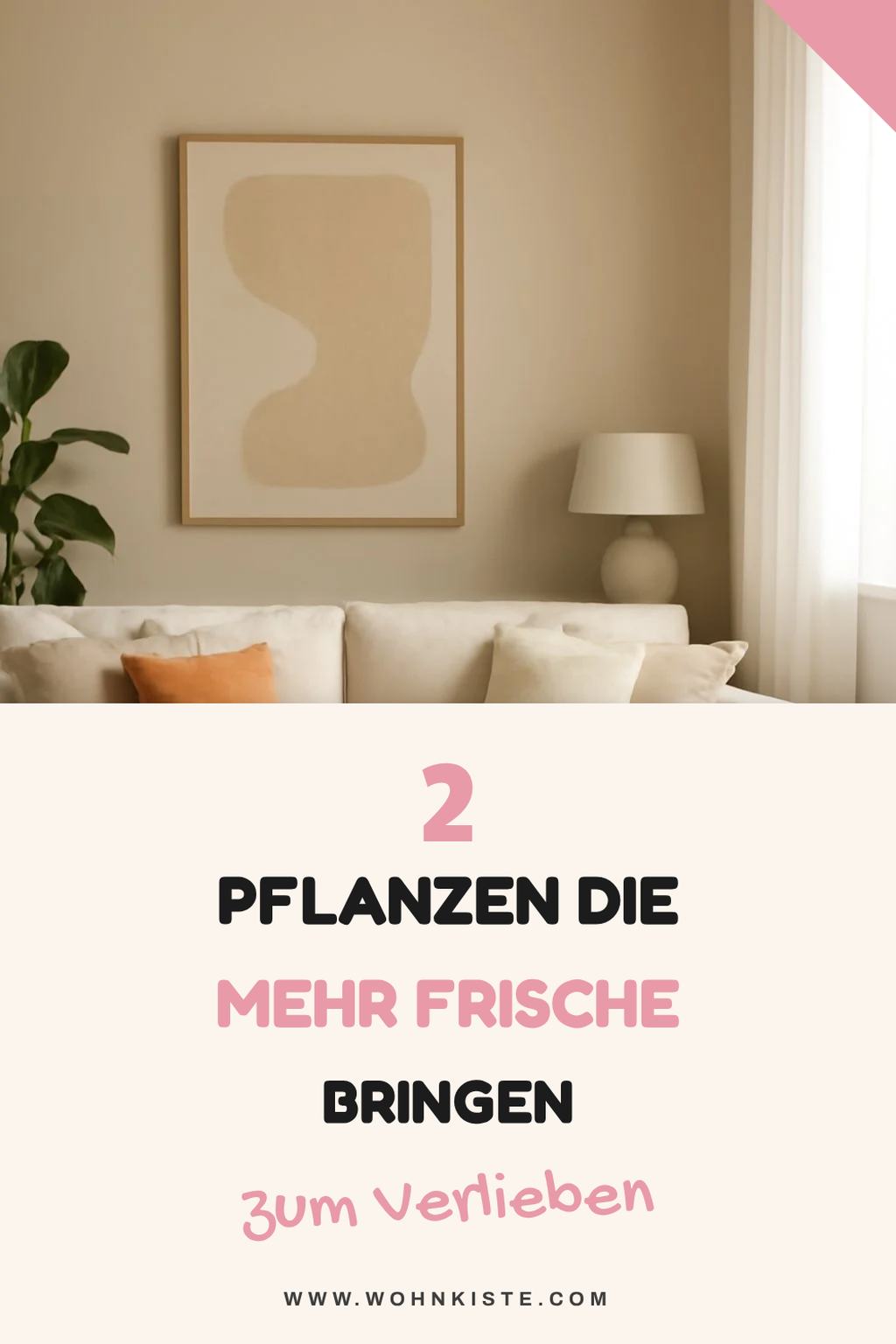 3 Pflanzen für mehr Frische