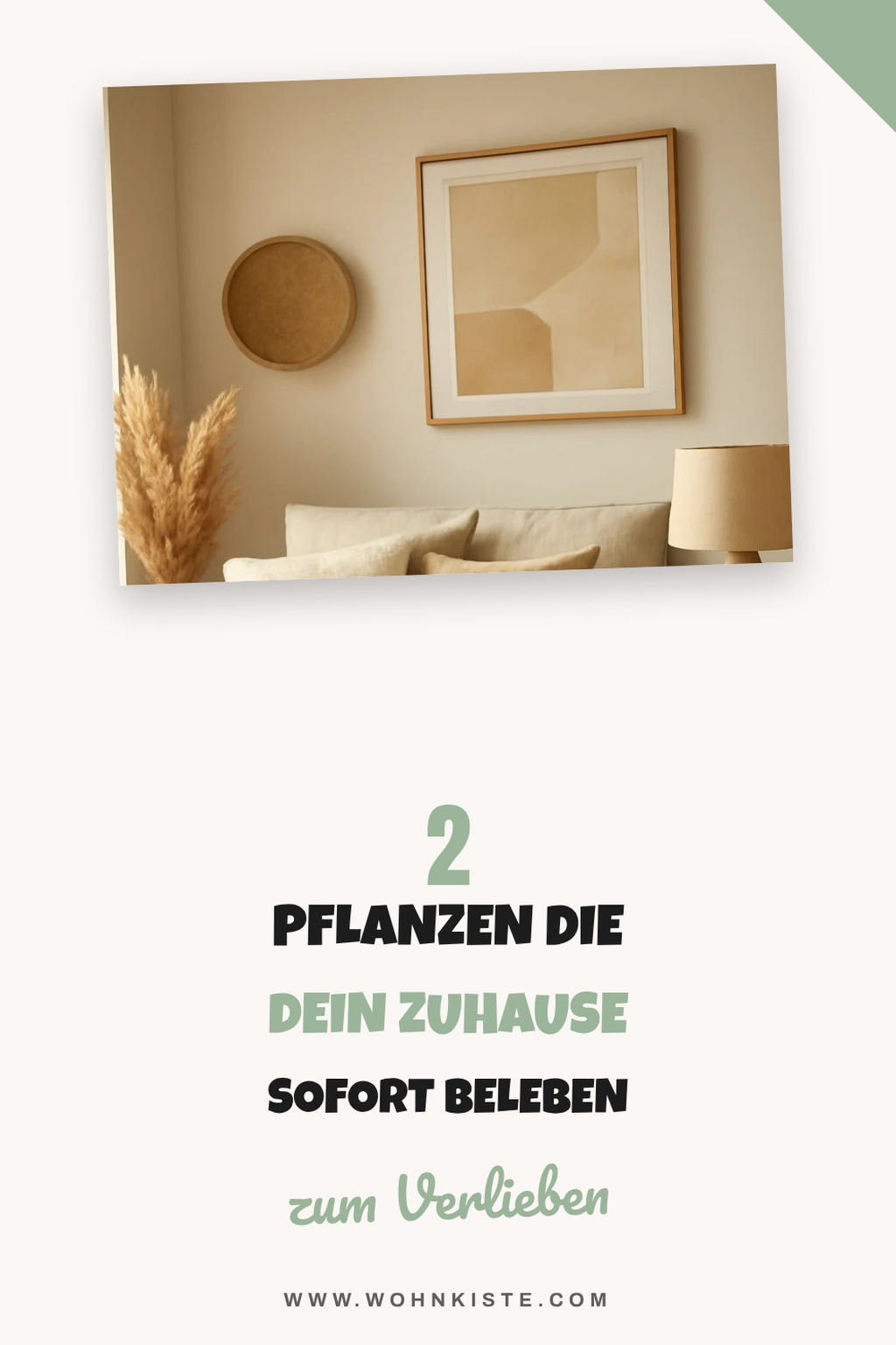 7 Pflanzen für frisches Raumklima