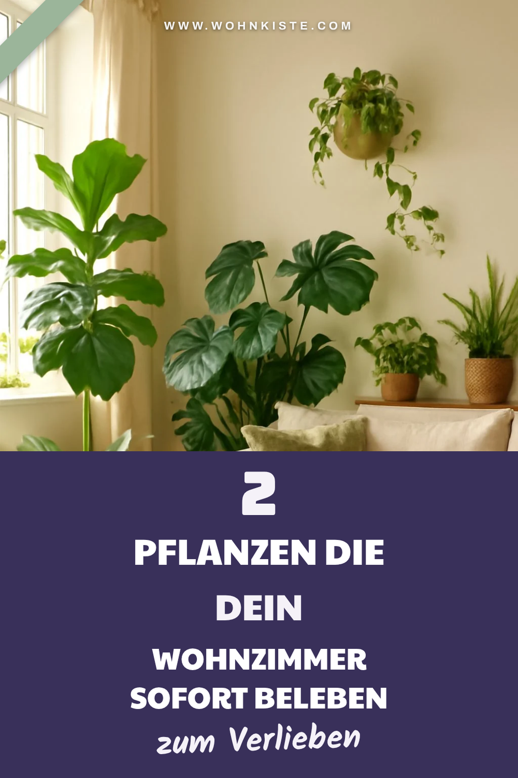 So verleihst du deinem Wohnzimmer mit Pflanzen neuen Schwung