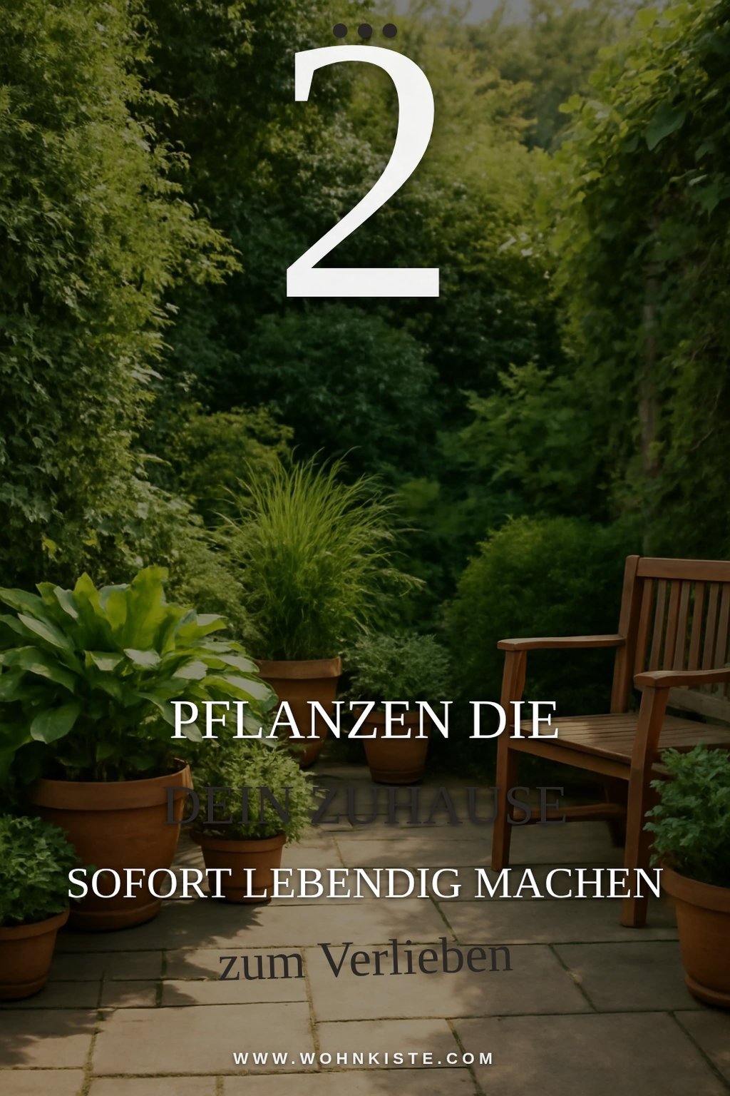 So schaffst du mit Pflanzen eine grüne Oase