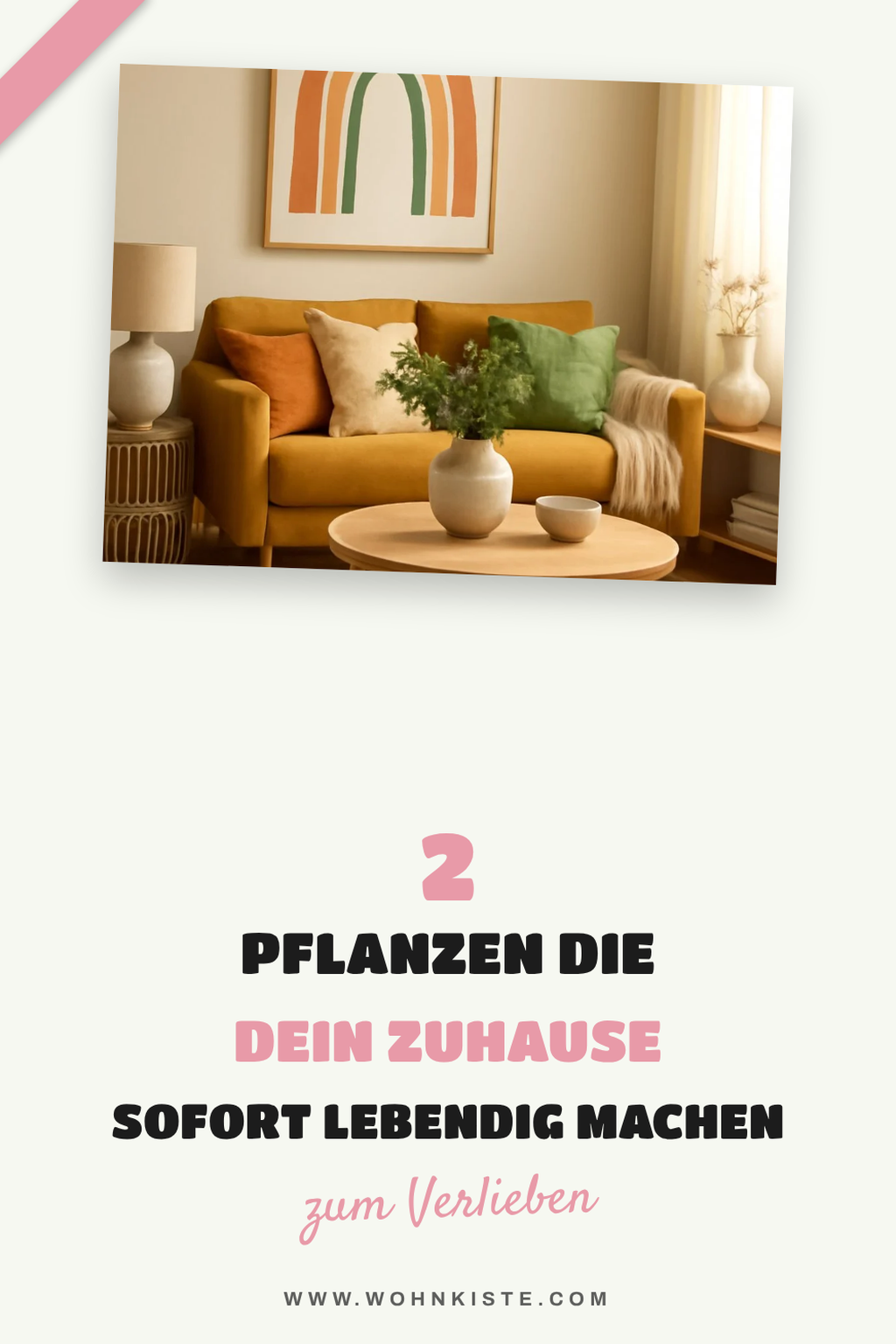 Wie Pflanzen dein Zuhause verwandeln
