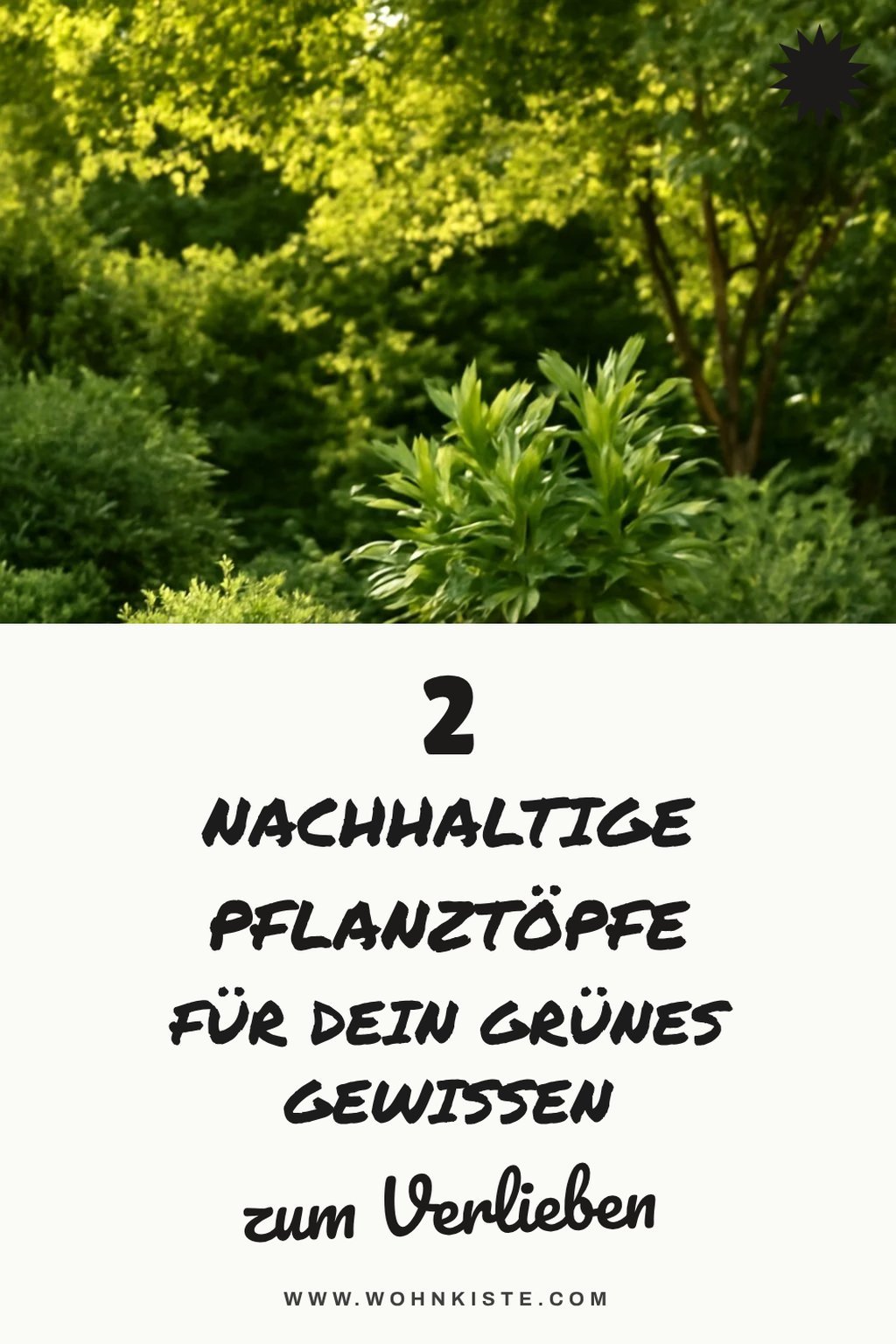 Nachhaltige Pflanztöpfe für umweltbewusste Gärtner