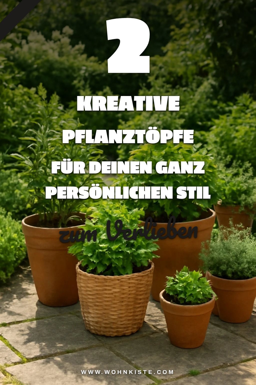 Kreative Pflanztöpfe für individuelle Gestaltung