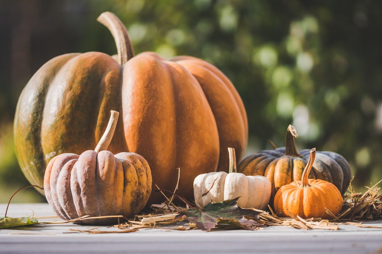 10 Deko Ideen Herbst Outdoor