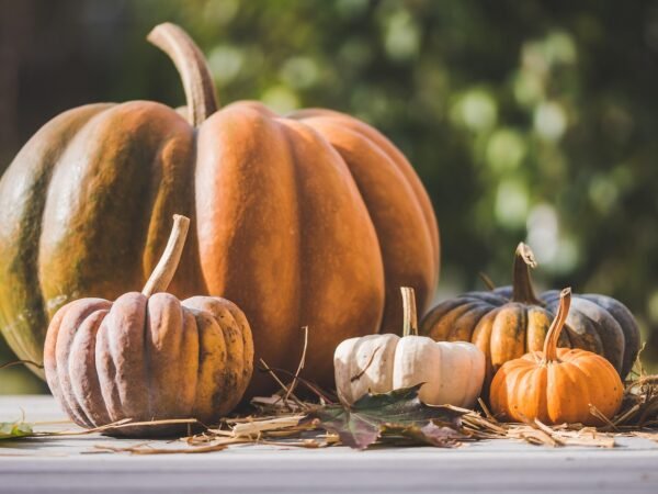 10 Deko Ideen Herbst Outdoor