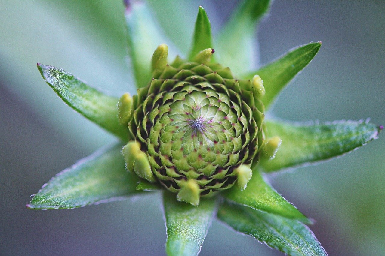 Gartendeko Ideen Sommer