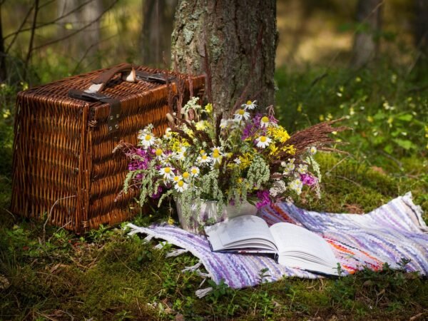 Outdoor Teppich Günstig